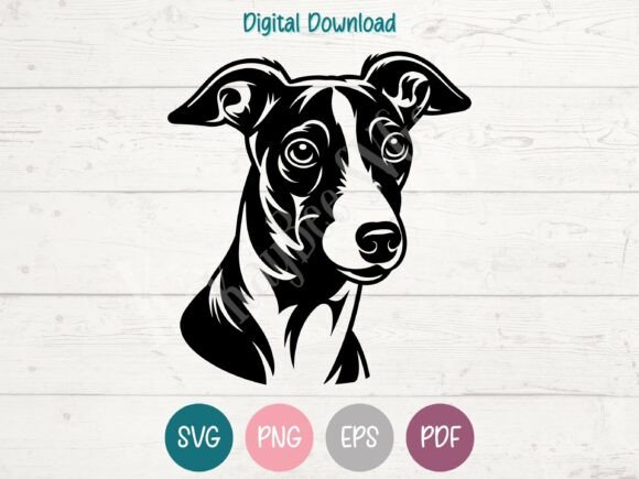 Italian Greyhound Dog SVG PNG EPS PDF Review