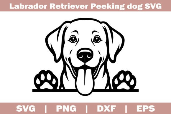 Labrador Retriever Peeking Dog SVG Review