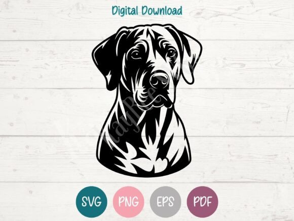 Rhodesian Ridgeback Dog SVG PNG EPS PDF Review