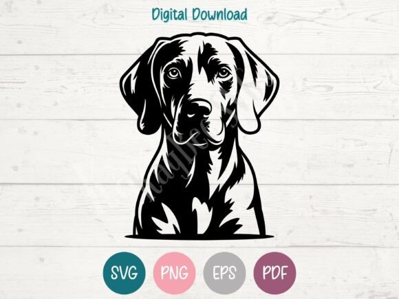Weimaraner Dog SVG PNG EPS PDF Design Review